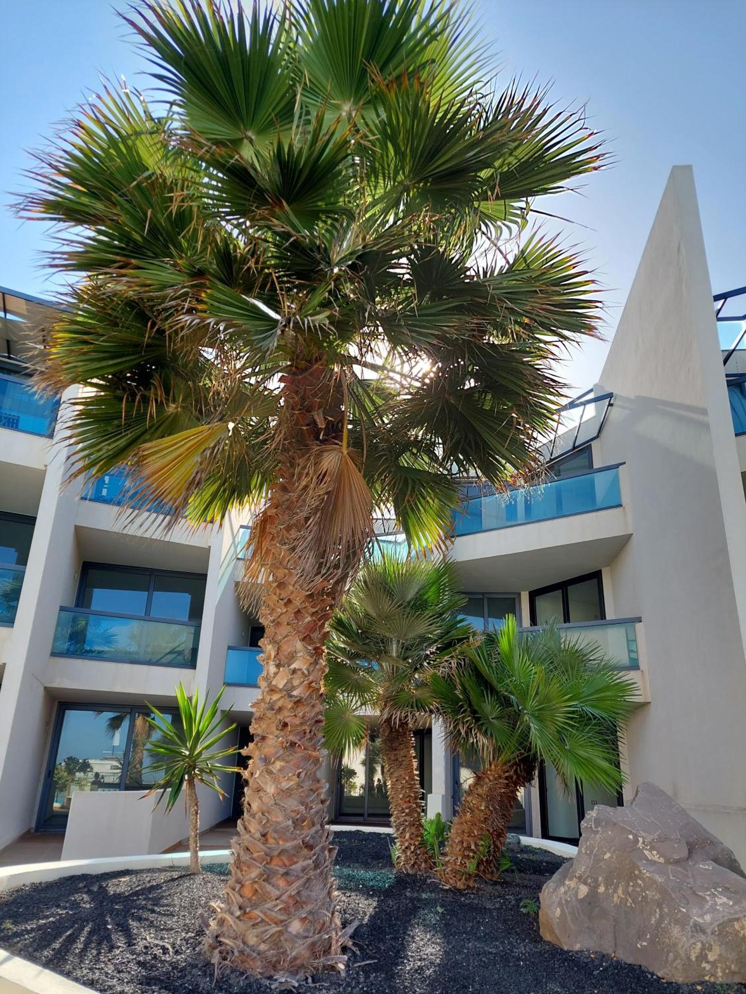 Sunset Spot Fuerteventura Cotillo Seaviews Premium 외부 사진